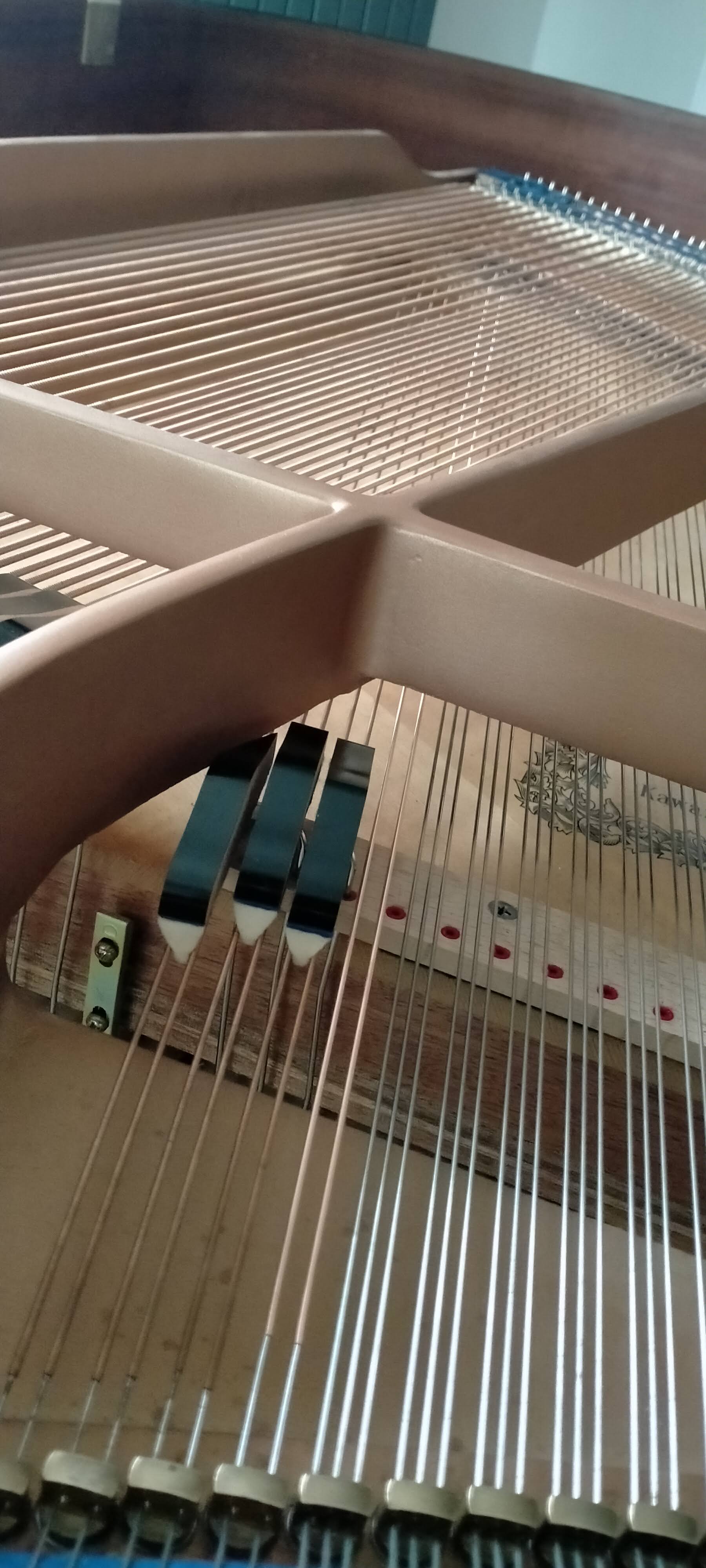 Interior de piano de cola mostrando cuerdas y bastidor